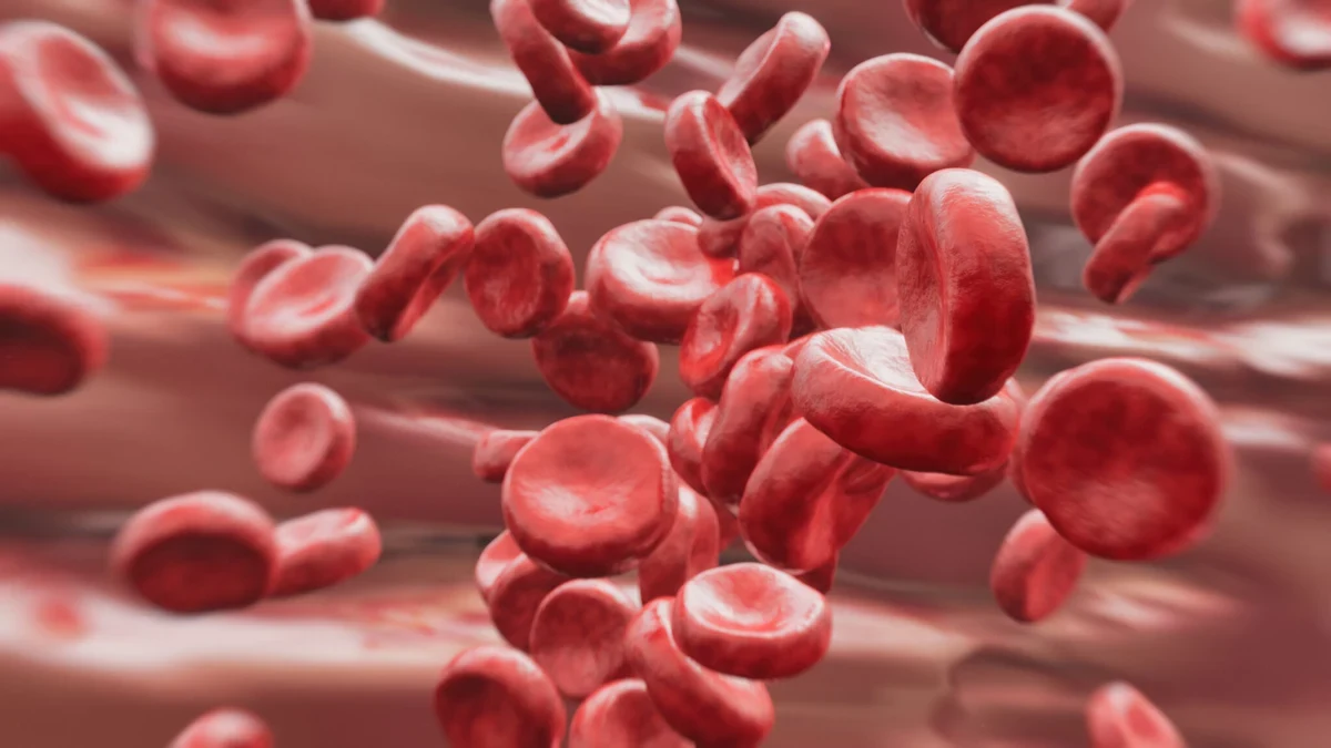 File photo: How A Small Blood Protein Restores Youth in Older Brains